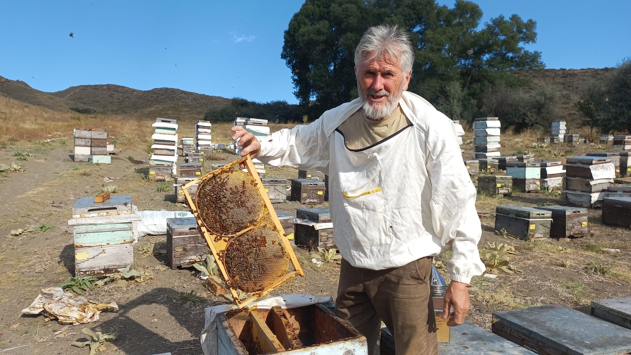 Fake honey negatively affects both health and the sector