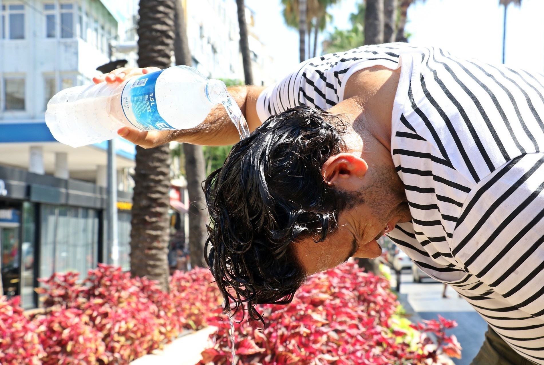 Heat stroke can cause brain hemorrhage and heart attack!