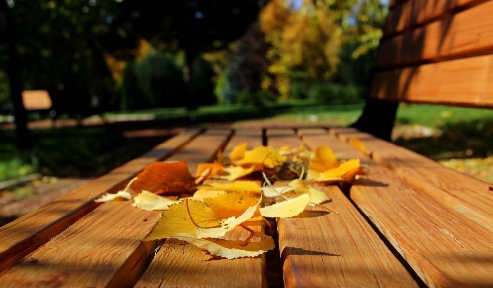 Advice from dietitians on fall fatigue