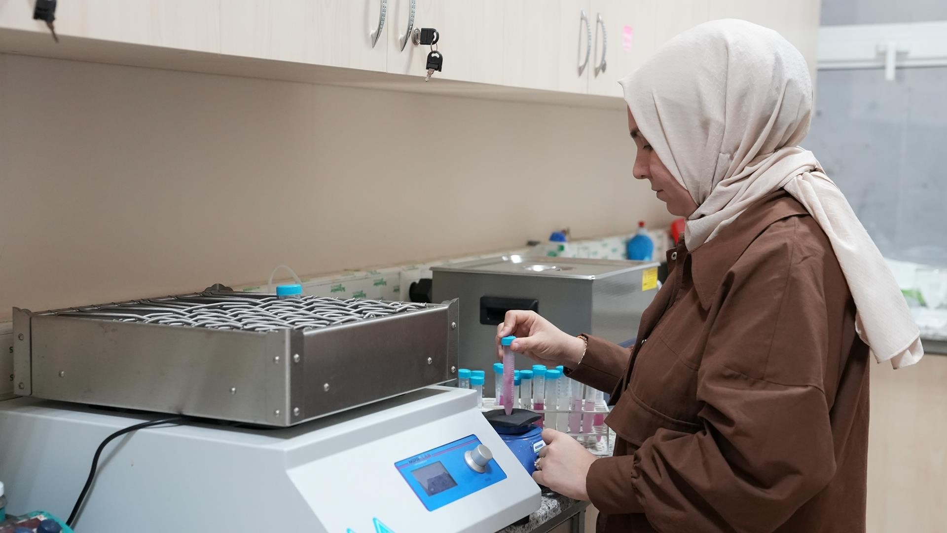 Investigating the effects of Siyez wheat on large intestine microbiota